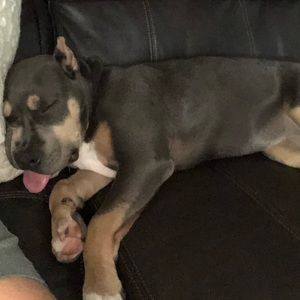 Meet your Posher, Amanda